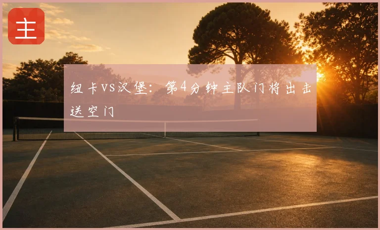 纽卡vs汉堡：第4分钟主队门将出击送空门