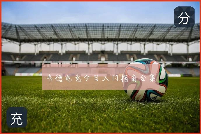 韦德电竞今日入门指南合集